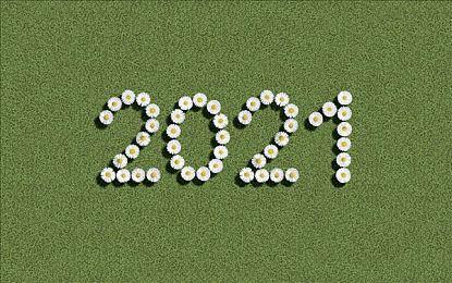 恐怖新游《米砂原医院》上架Steam 预定今夏发售